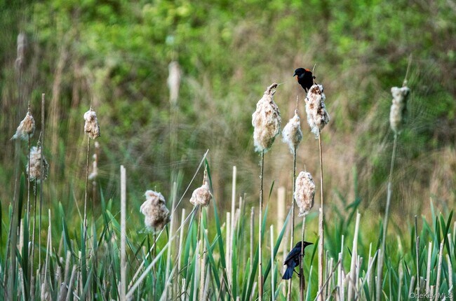 Building Photo - 789 Salisbury Turnpike