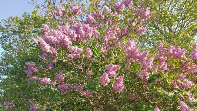 Building Photo - 94 Cross Rd