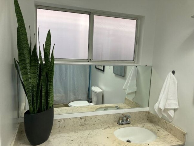 Building Photo - Dog Friendly, Single Level Sausalito Home ...