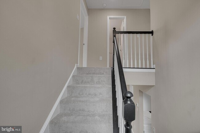 Building Photo - 8101 Chelaberry Ct