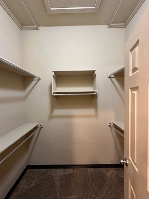 Building Photo - 18221 Manera Way