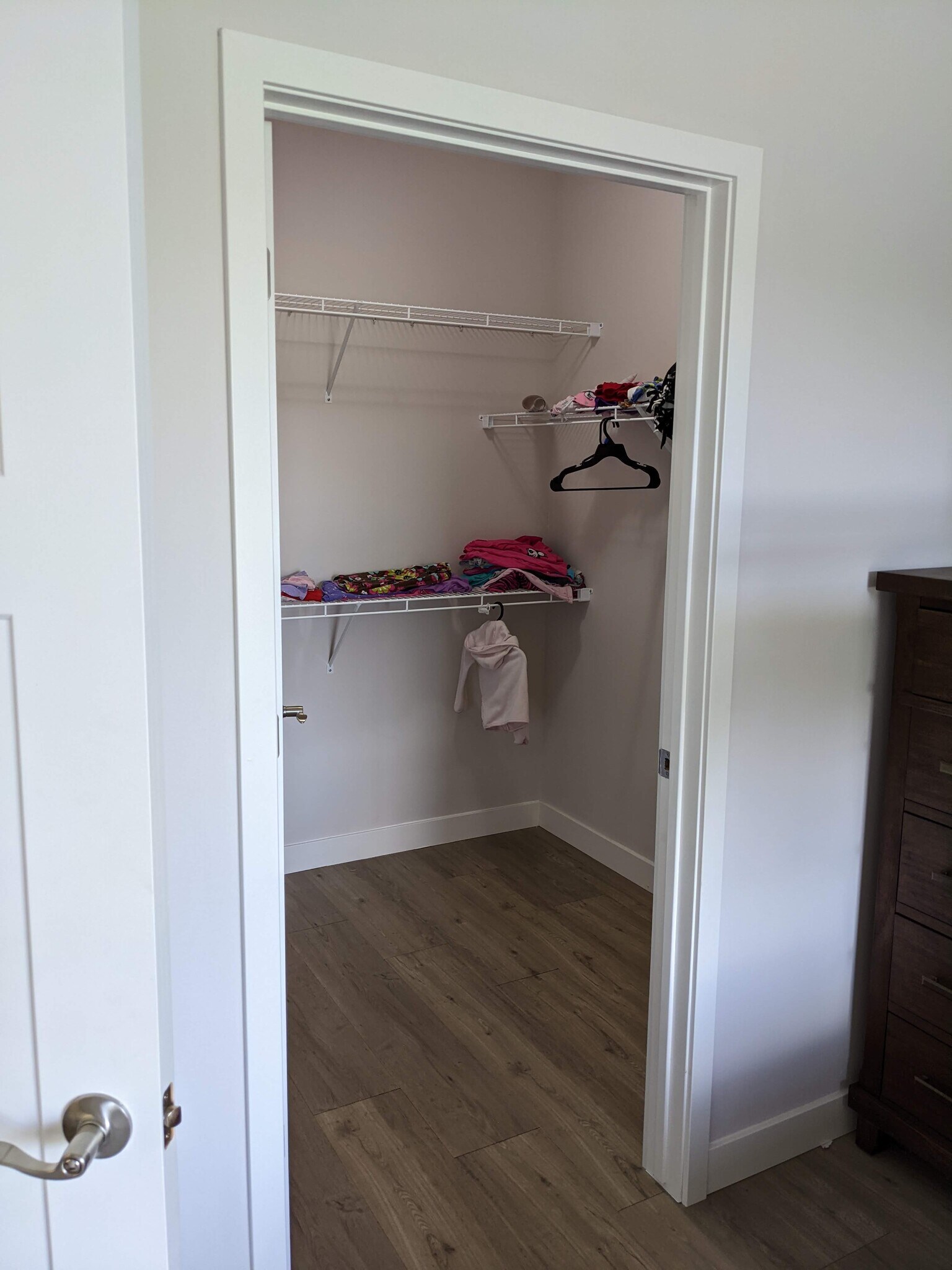 Second walk in closet, 2nd bedroom. - 1501 N Windsor Ave