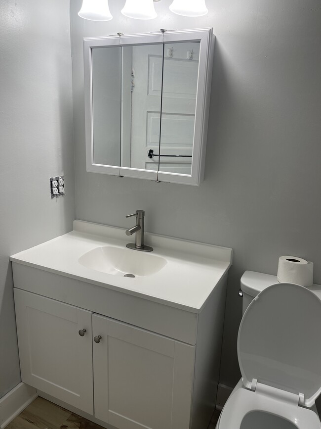 updated bathroom. New sink, lighting, toilet and flooring - 834 N Elizabeth St