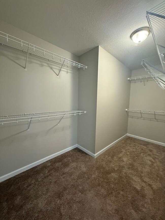 Building Photo - 5 bedroom, 4 bath House