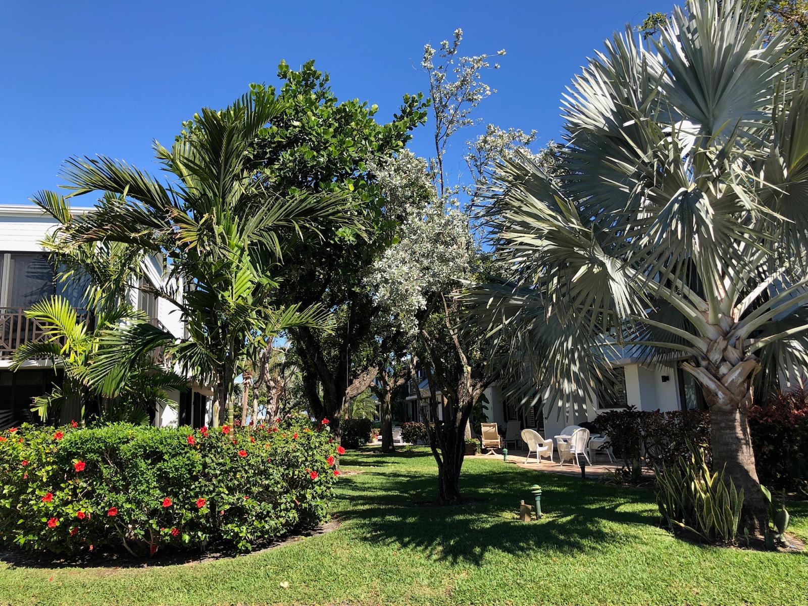 Building Photo - 1604 S Ocean Ln