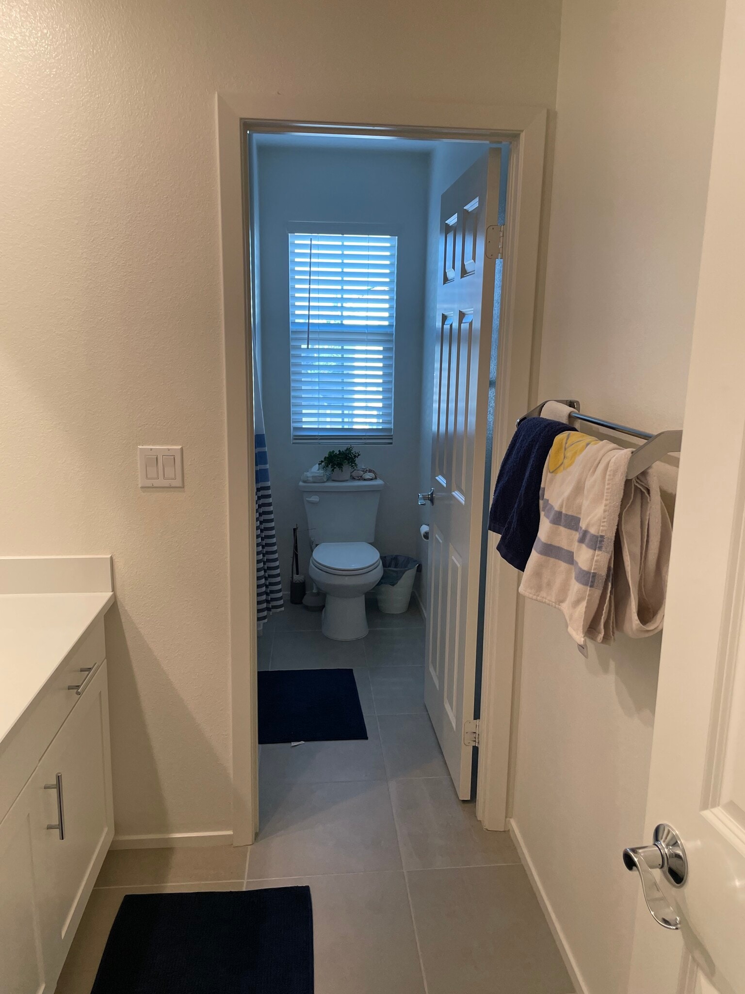 Bathroom 2 - 969 W Jasmine Way