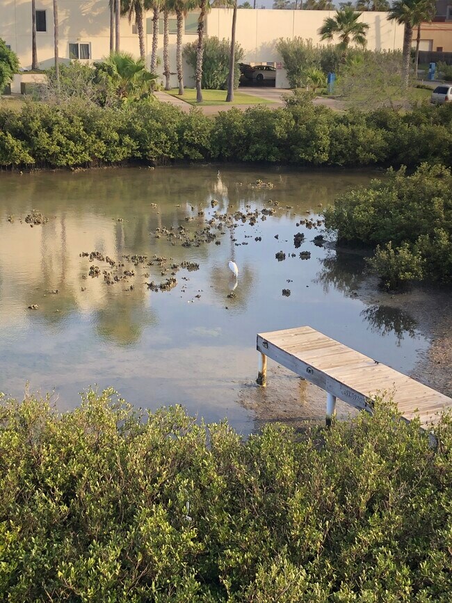 Building Photo - 208 W Saturn Ln