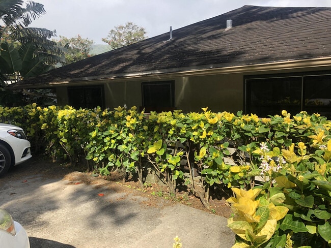 Building Photo - Lower Manoa single family home