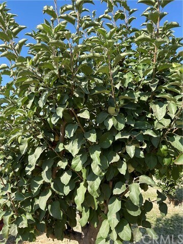 Building Photo - 4280 Jenkins Ln