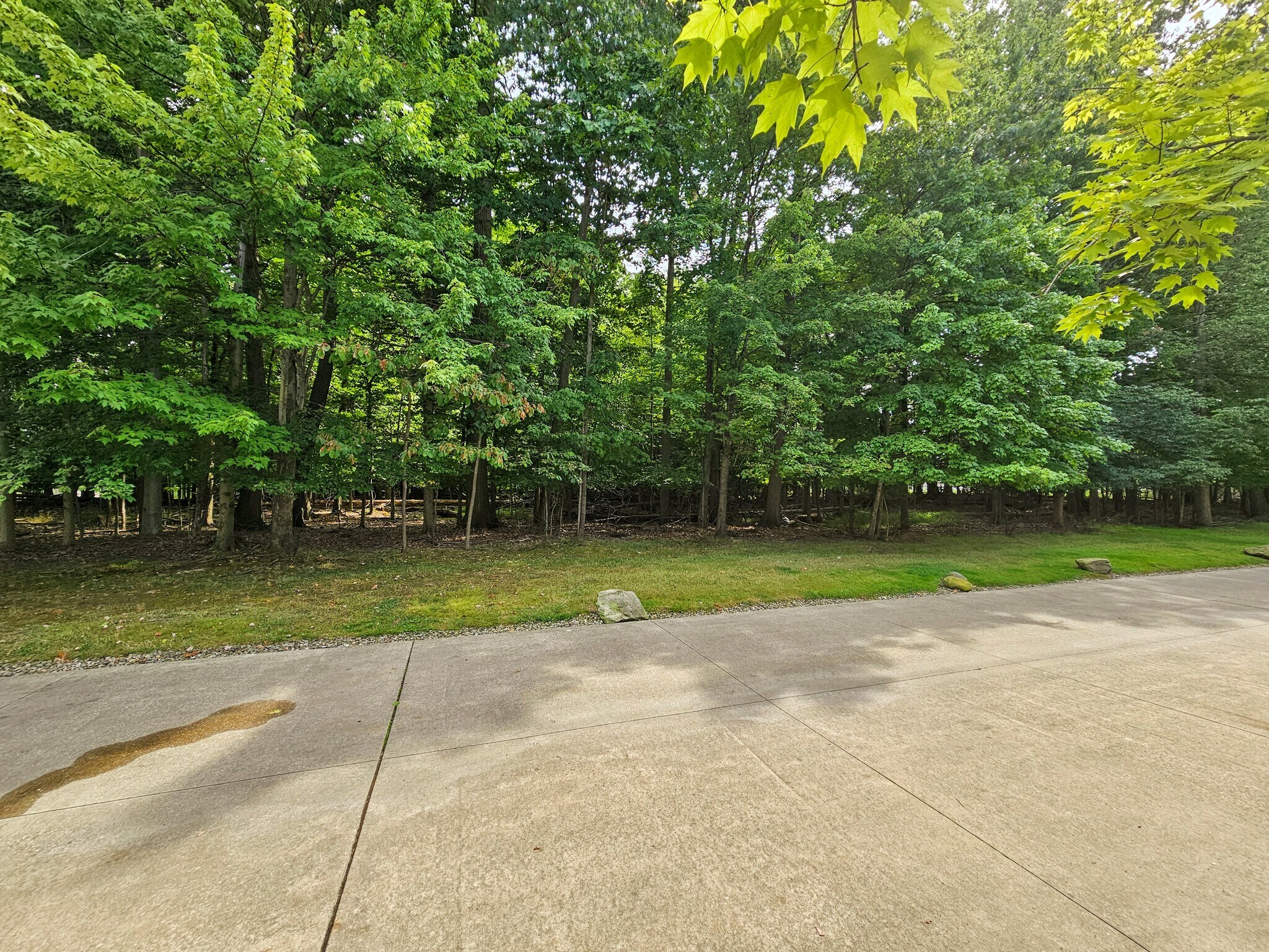 The townhouse faces a private wooded area - 837 Tollis Pkwy