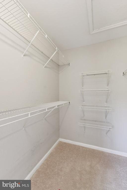 Building Photo - 11624 Rumford Ct