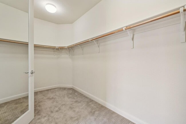 Building Photo - 101 Butterweed Ln