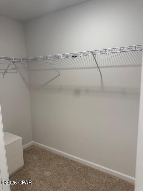 Building Photo - 3215 Josie St