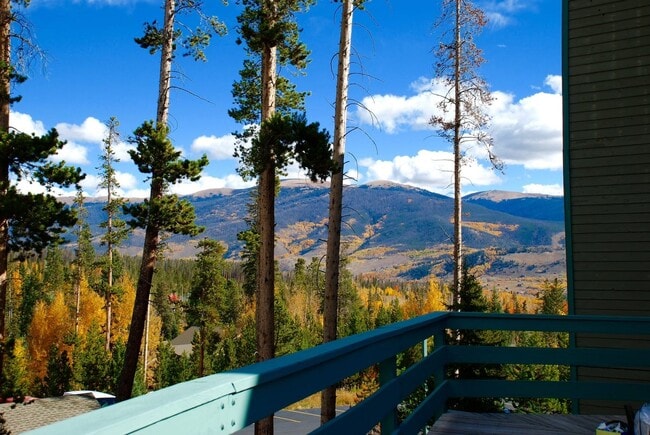Building Photo - Large 2 BR + Loft in Wildernest (Sleeps li...