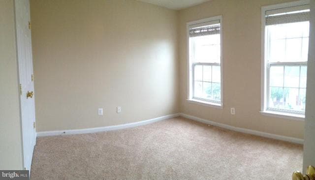 Building Photo - 15689 William Bayliss Ct