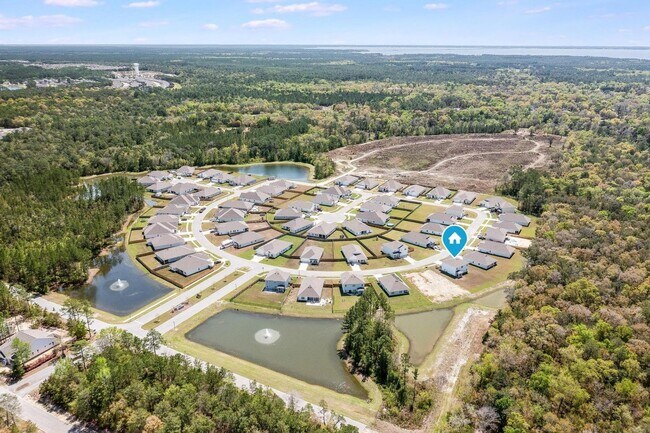 Building Photo - Hammock Oaks Estate Available in February!