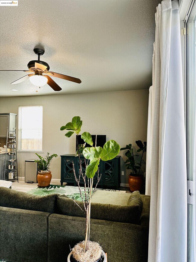 Building Photo - 4519 Twin Creeks Ct