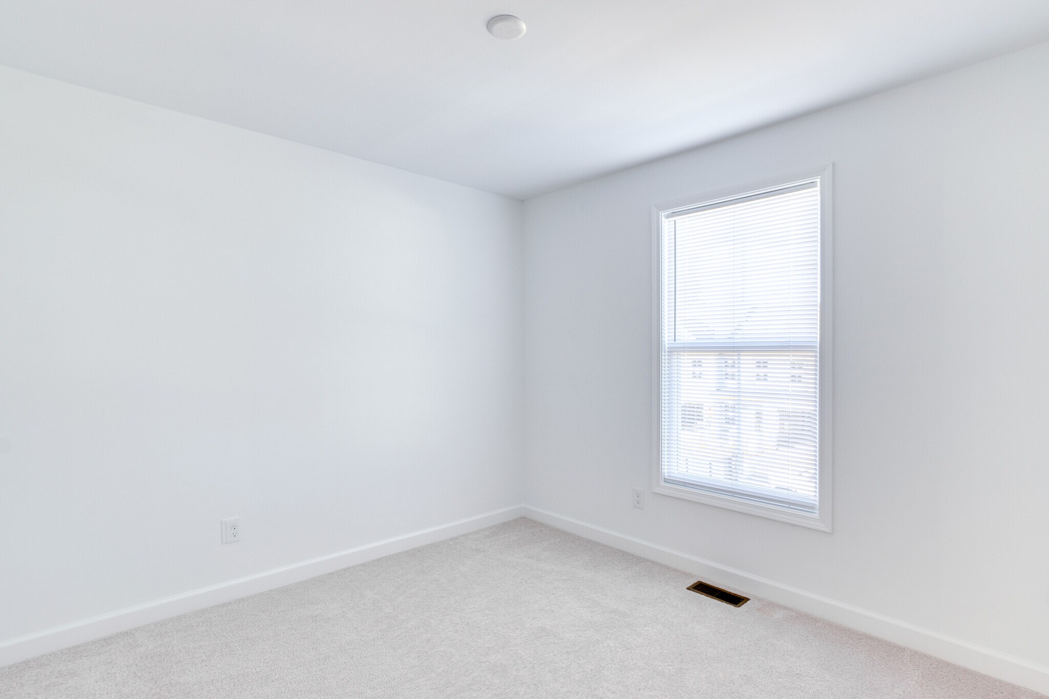 Building Photo - 223 Addison Ct