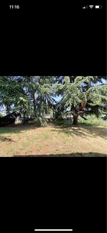 Building Photo - 525 Cinderella Loop