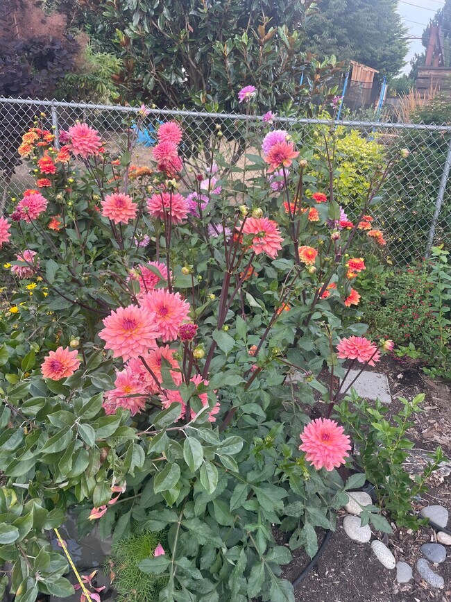 Building Photo - 2103 S Bennett St