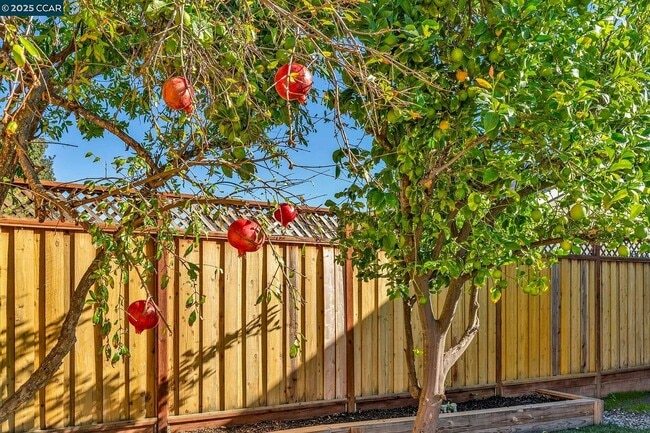 Building Photo - 648 Brookfield Dr