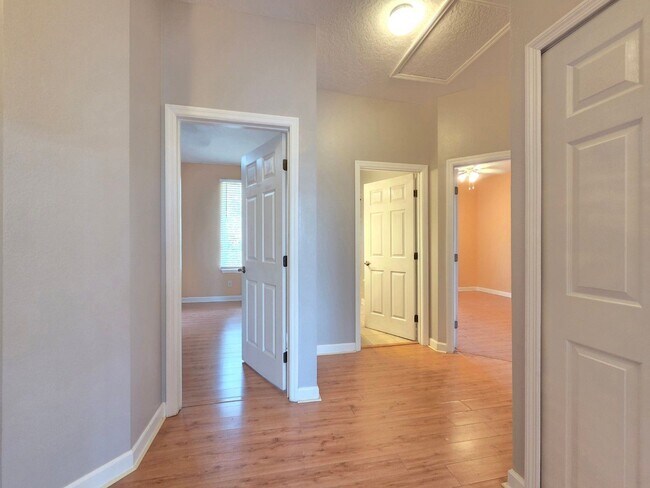 Building Photo - 337 Coral Beach Cir