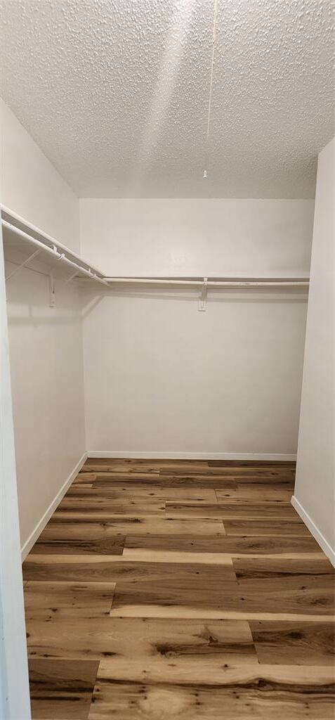 Building Photo - 1804 Greenhill Dr