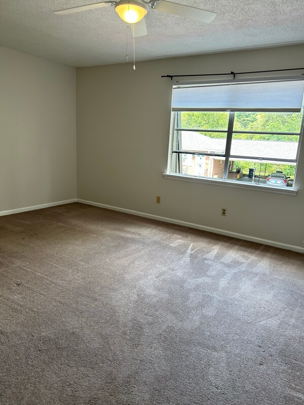 Building Photo - 1002 Ogrady Dr