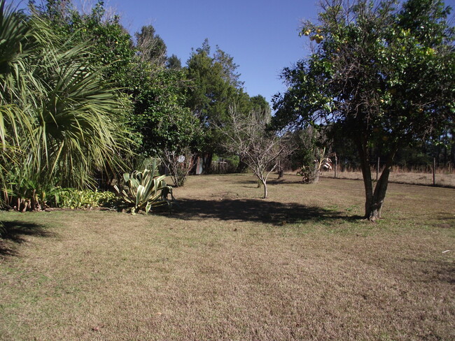 Building Photo - Gorgeous Rustic Home in Alachua!