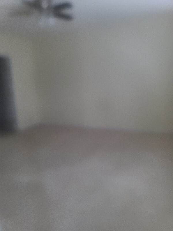 Building Photo - 2459 Aldermont Ct