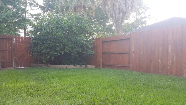 Painted Fence- Private Patio. Sidewalks - Street Lights Renovated, Lemonad Tree, Tropical View. - 23619 Twisting Falls Drive