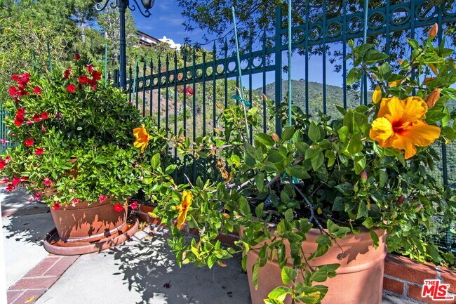 Building Photo - 2546 Cordelia Rd