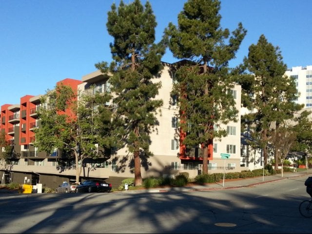 Primary Photo - Piedmont Apartments