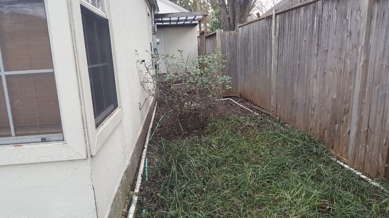 Building Photo - 3251 Rosebank Dr