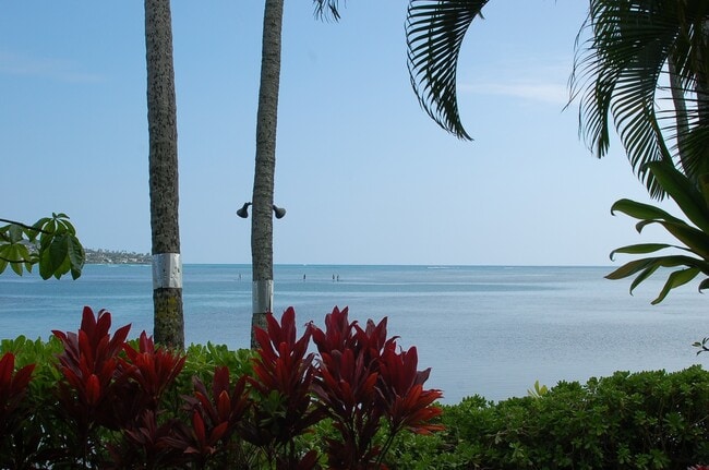 Building Photo - Waterfront Oasis at Napua Point!