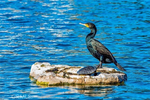 Building Photo - 10 Pantano