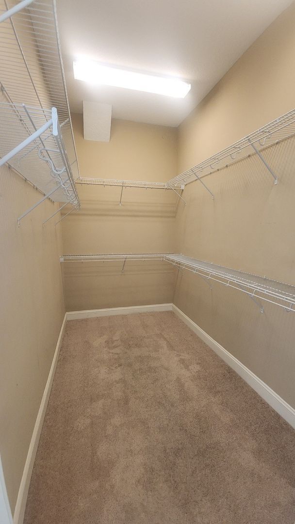 Building Photo - Absolutely Stunning 3 Bed 2.5 bath in Palencia St Johns County