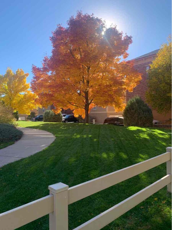 Building Photo - 2803 Kansas Dr