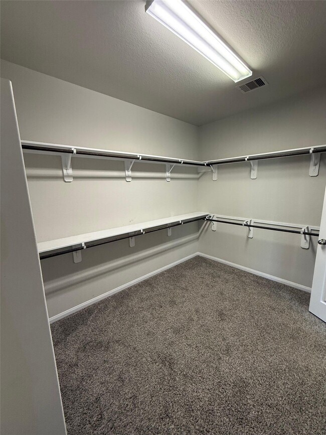 Building Photo - 2826 Saw Palmetto Trail