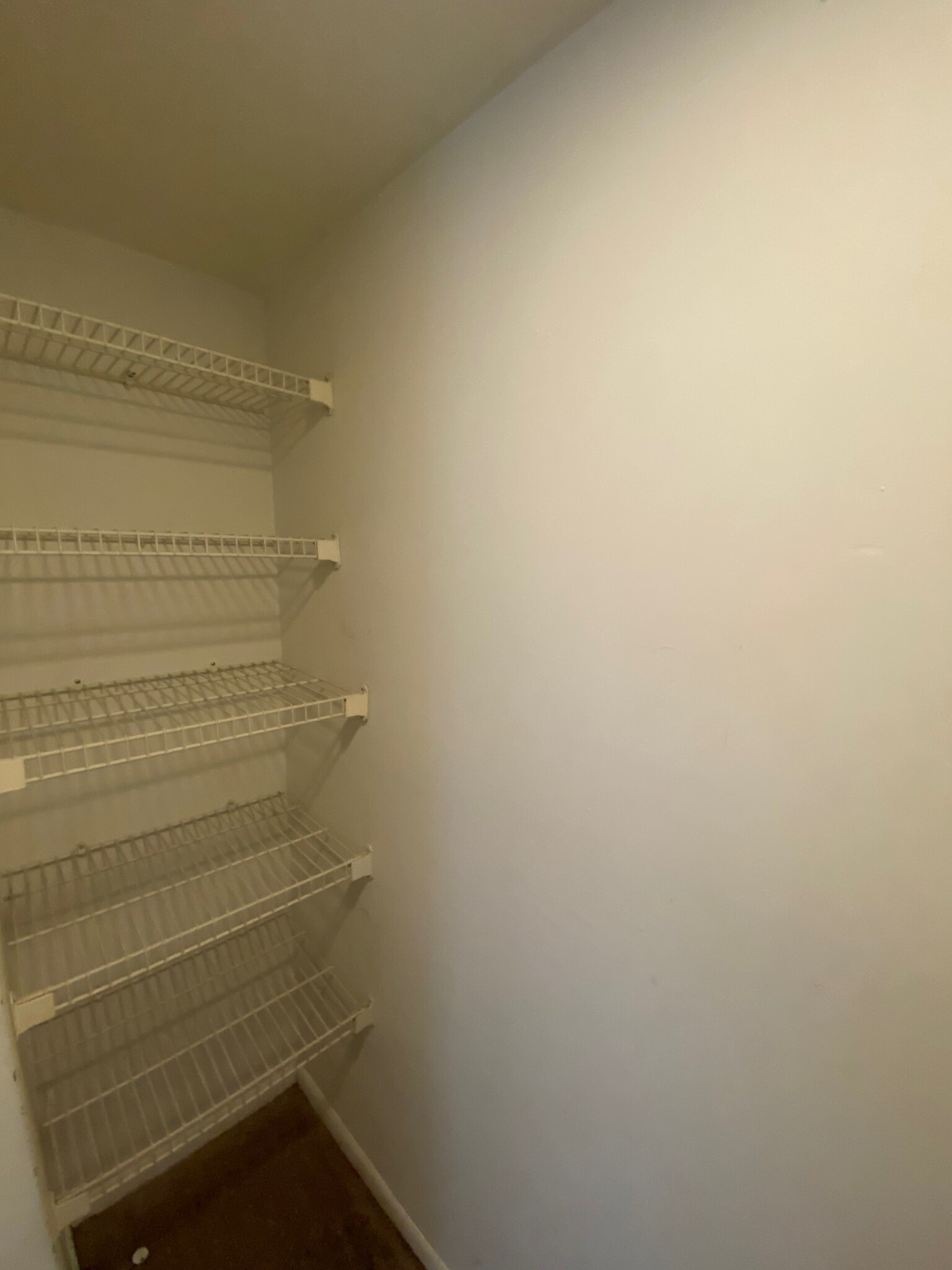 Walk In Closet - 25 Rockledge Ave