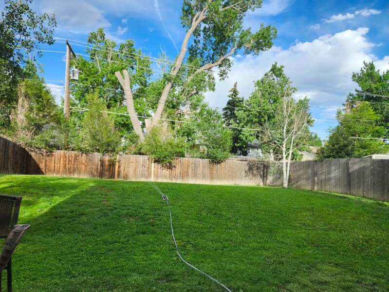 Building Photo - 2349 Spring Blossom Dr