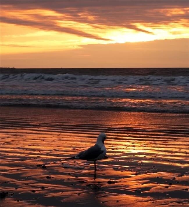 Building Photo - 56 Sand Hill Cove Rd