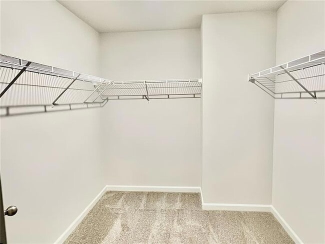 Building Photo - 4249 Tin Hare Ln