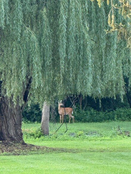 Building Photo - S80W19060 Janesville Rd