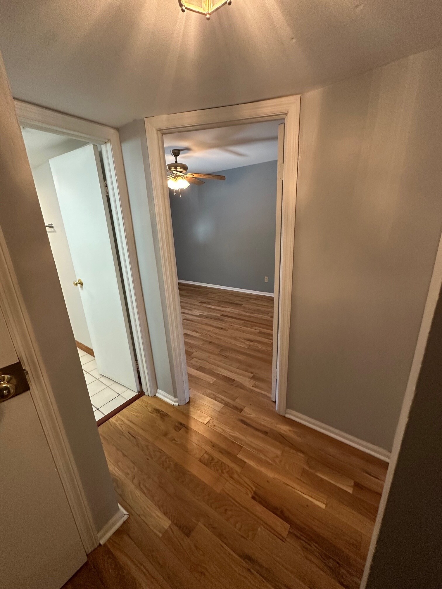 Building Photo - 1008 Manor Ln