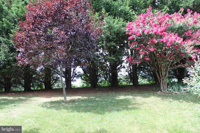 Building Photo - 12506 Seurat Ln