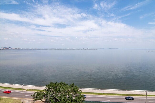 Building Photo - 3101 Bayshore Blvd