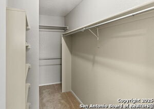 Building Photo - 317 Sunrose Ln