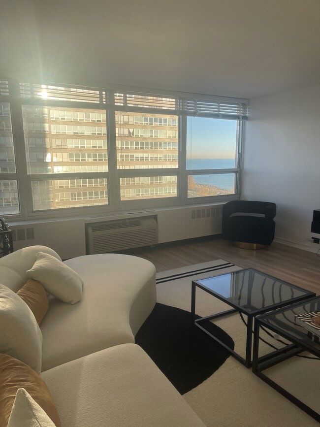 Building Photo - 4800 S Chicago Beach Dr