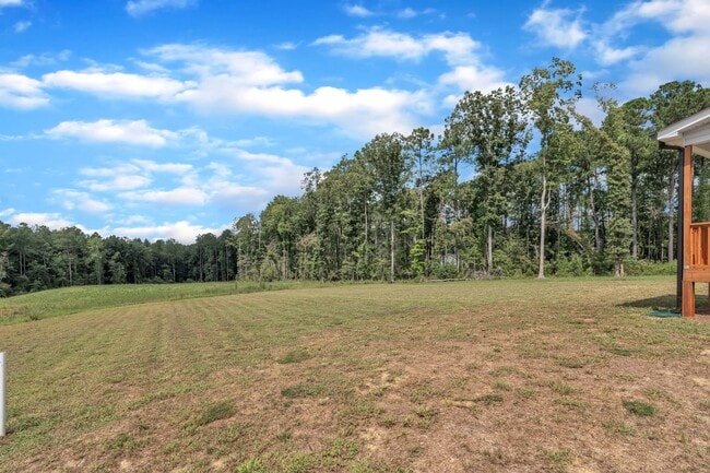 Building Photo - **Beautiful New Construction Home in Zebulon**